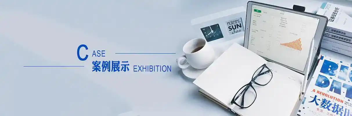 平原县软件开发
